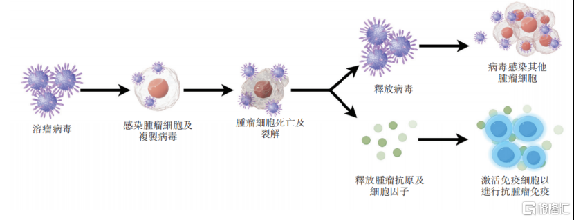 武汉滨会生物冲击IPO，专注于溶瘤病毒领域	，机遇与挑战并存